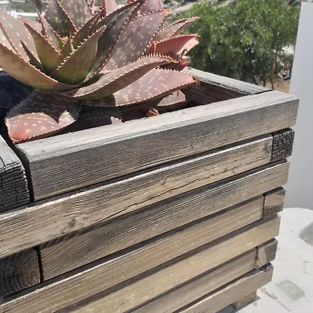 Panoramic View Appartamento