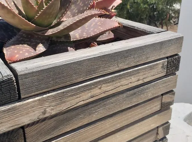 Panoramic View Apartment