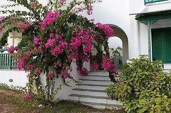 アパート Panoramic View *